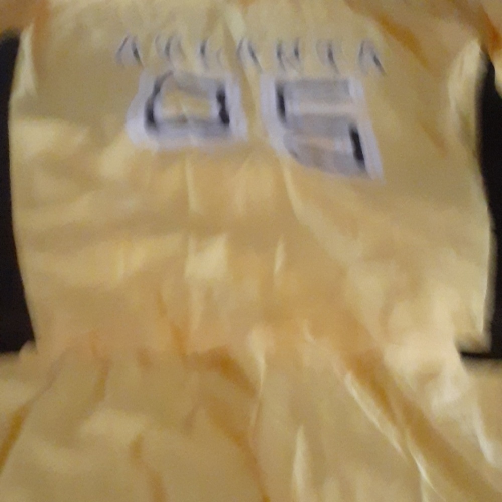 Shorts - Picture 2 of 3